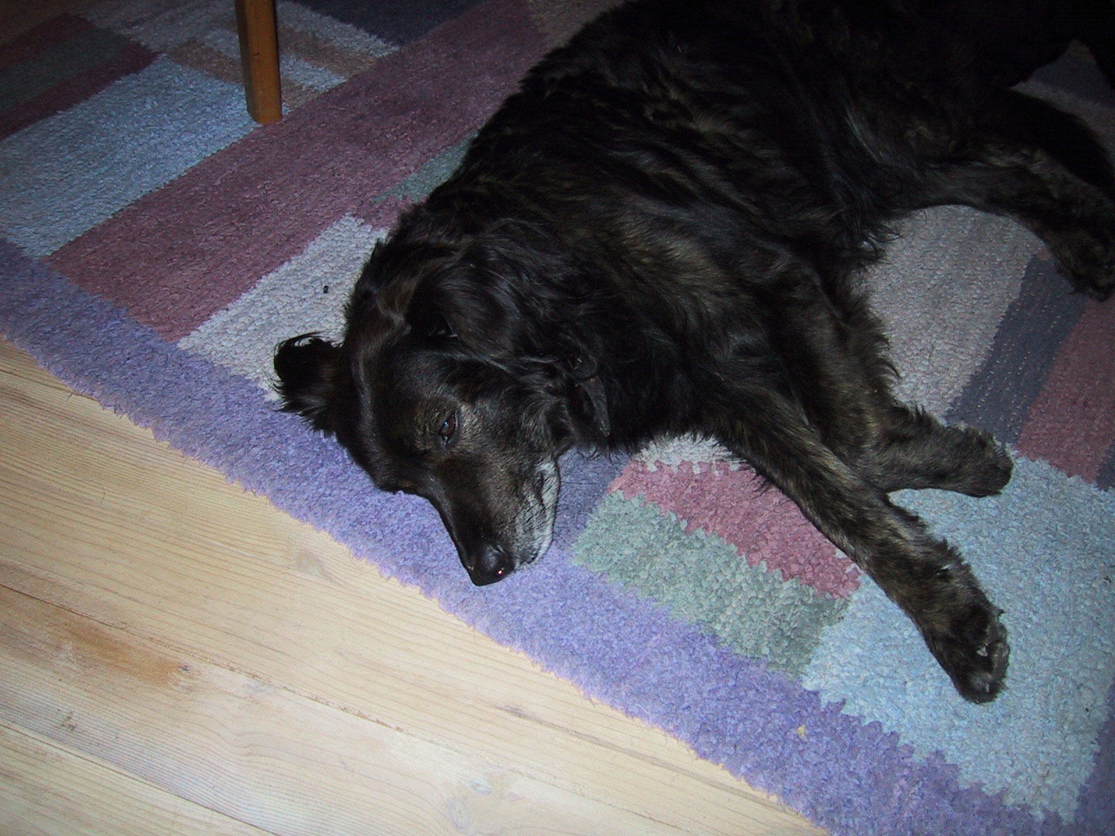 Rover1.jpg (1600 x 1200)